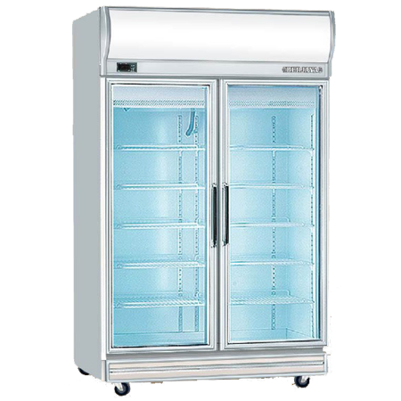 Display Freezer 2 Door BJ009