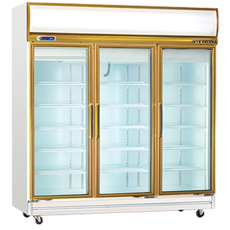 Display Freezer 3 Door BJ010