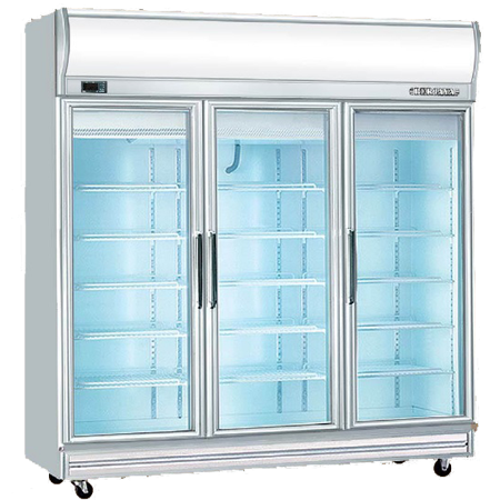 Display Freezer 3 Door BJ010