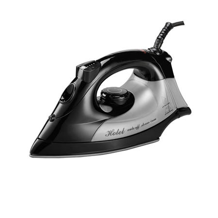 Steam Iron